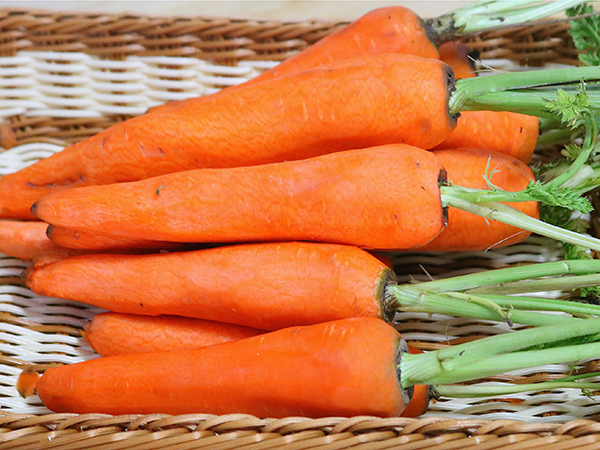 蘿卜皮的營養價值